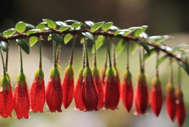 惠州博罗私人快速借钱网，轻松解决资金难题