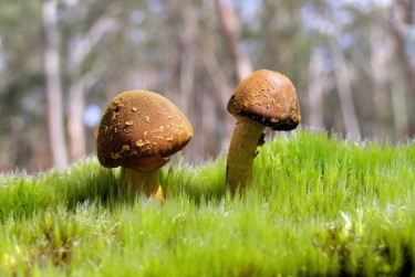 惠州博罗私人老板放款：轻松融资的秘密通道